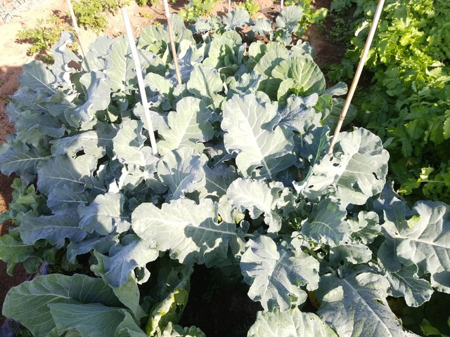 IMG_20231025_080825_copy_2016x1512