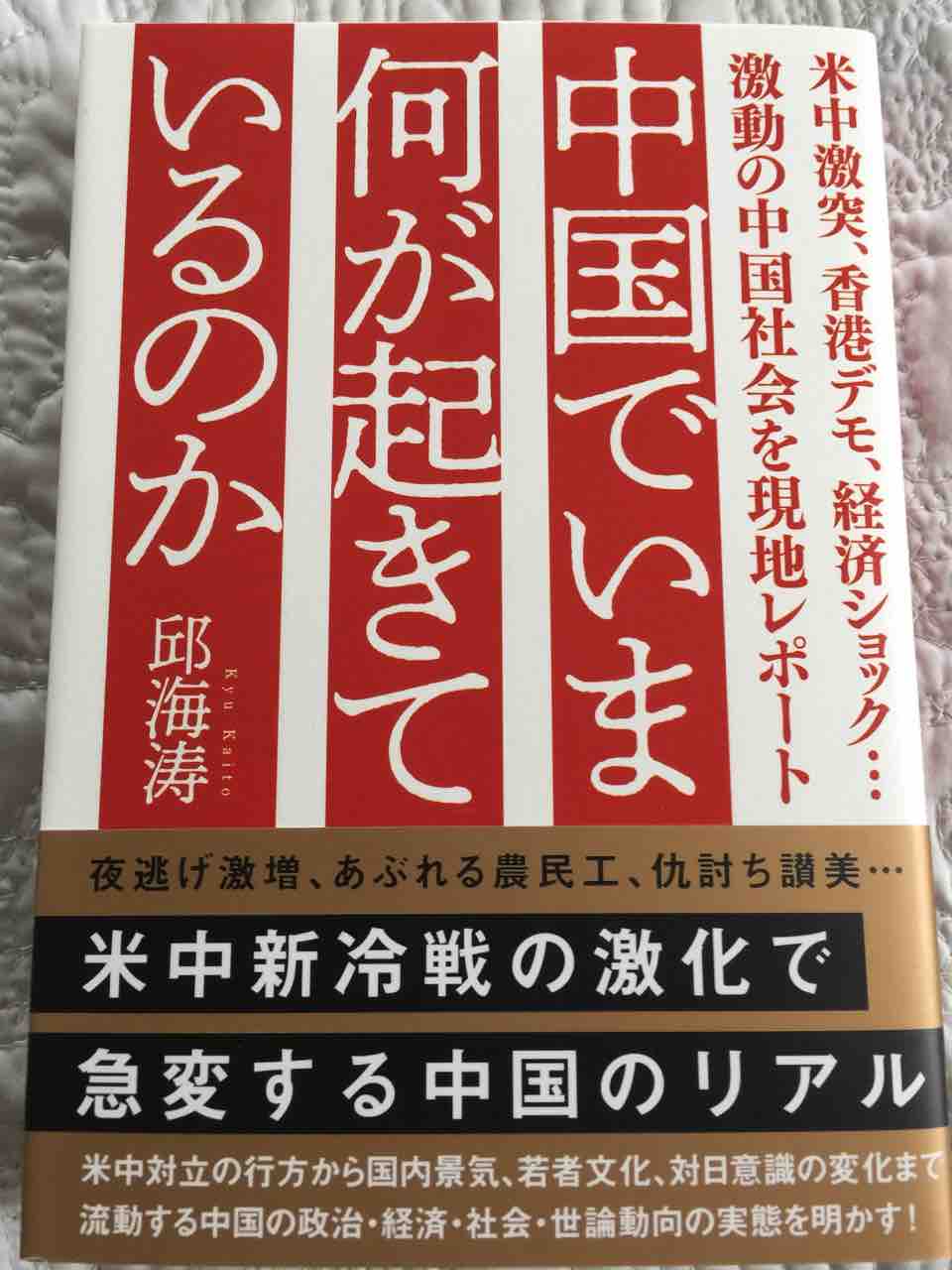 読書感想文75 中国でいま何が起きているのか 白血病から回復 そして食べ歩き 読書感想文75 中国でいま何が起きているのか 白血病から回復 そして食べ歩き