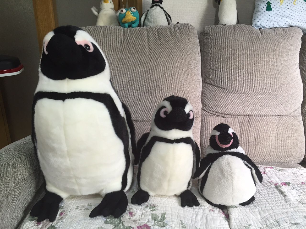 巨大なペンギンのぬいぐるみが家に来ました イクメンってだまされてる