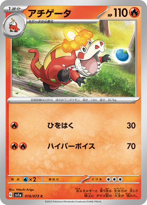 042984_P_ACHIGETA