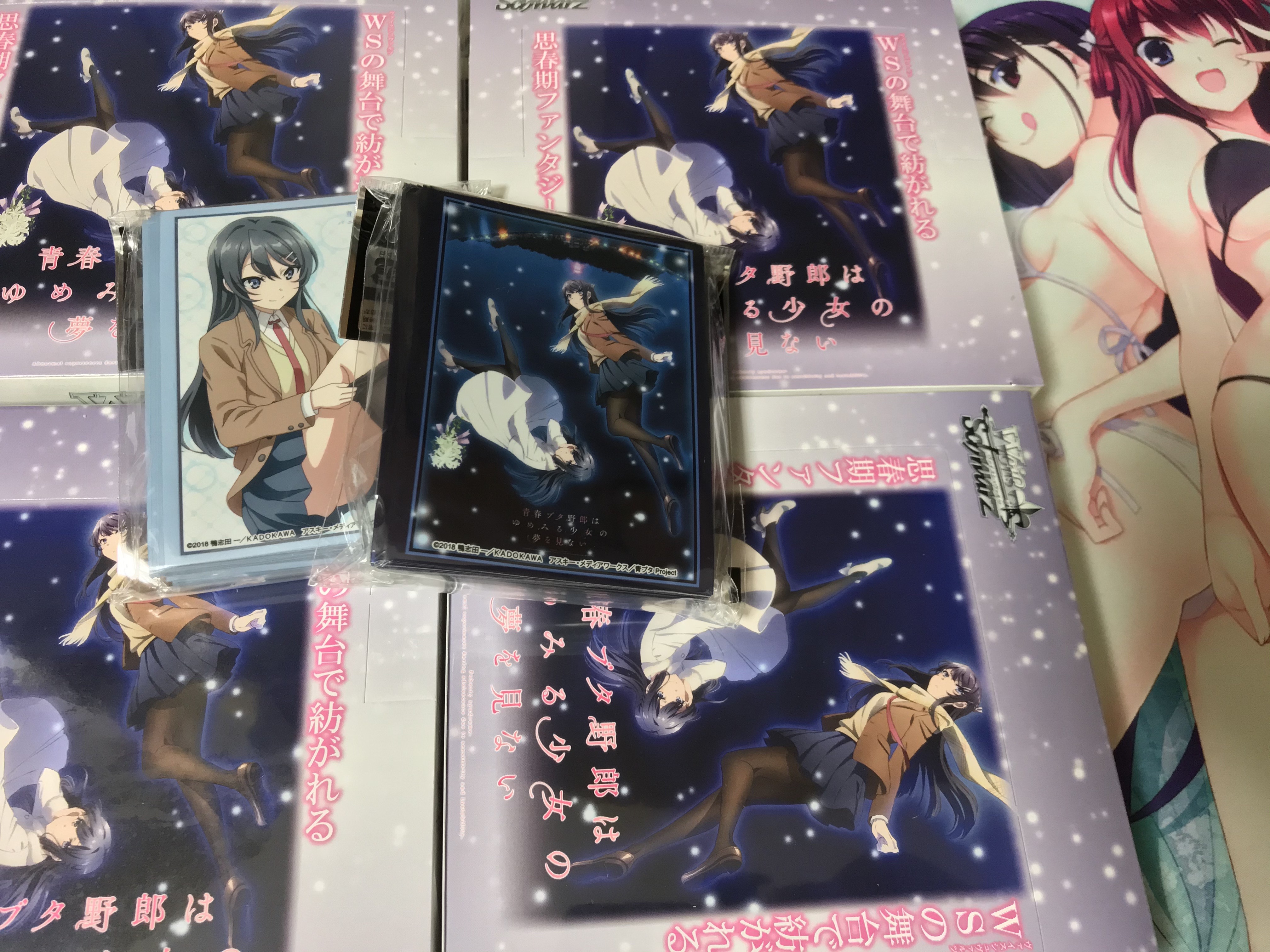 Ws 青春ブタ野郎はゆめみる少女の夢を見ない 4箱開けた 豚小屋ヴァイスシュヴァルツ ブタゴヤws
