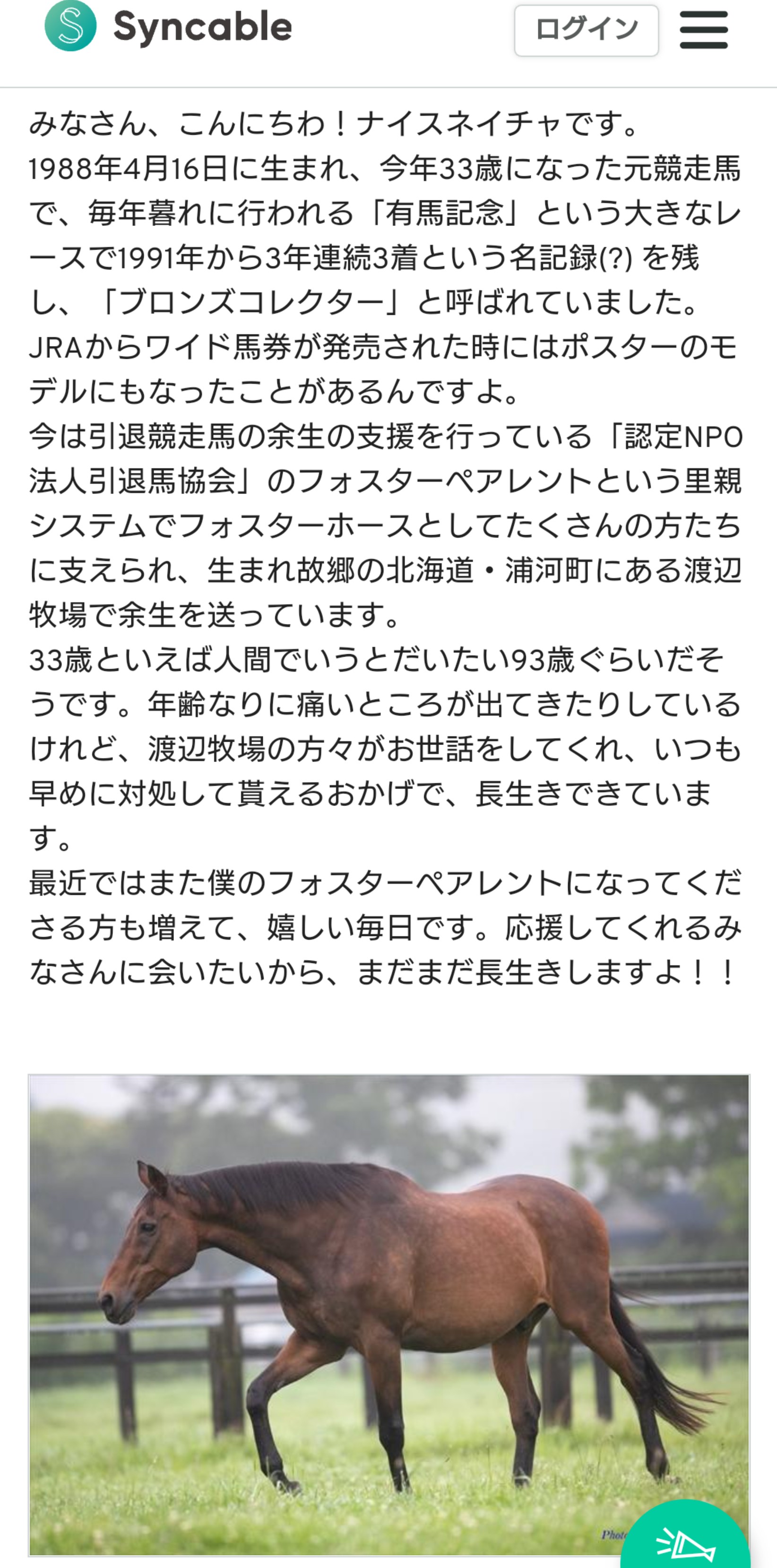 ウマ娘 ナイスネイチャさん オタクに1850万寄付される 前年比11倍 本田未央ちゃん応援まとめ速報