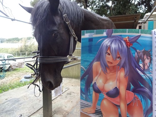 no title