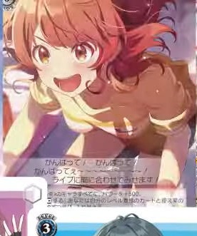 zentai500