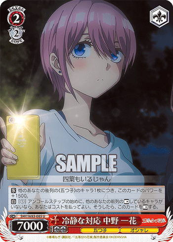 5hy_w83_085