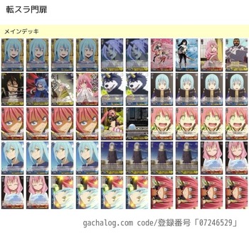 07246529