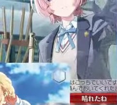 capture6353