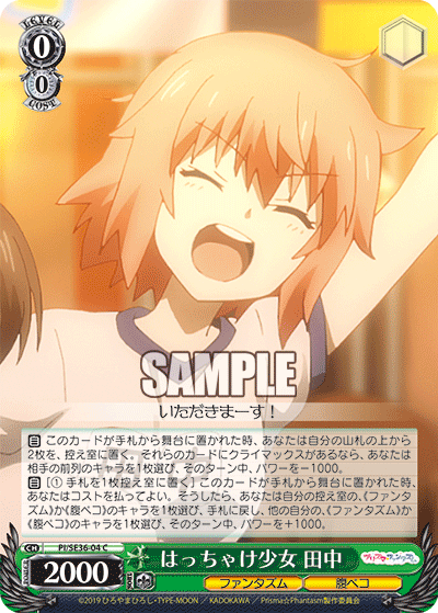 Ws プリヤ はっちゃけ少女 田中 豚小屋ヴァイスシュヴァルツ ブタゴヤws Ws プリヤ はっちゃけ少女 田中 豚小屋ヴァイスシュヴァルツ ブタゴヤws