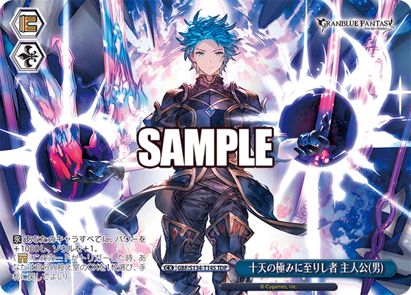 gbf_s134_t14s