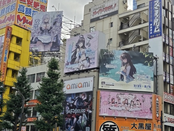 ベイブ/秋葉原