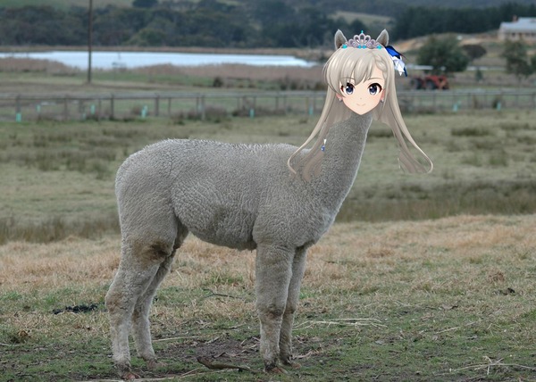 yibaB1t