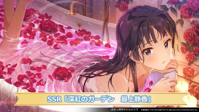SS3D57R62B5QEFM1V0EP17E0