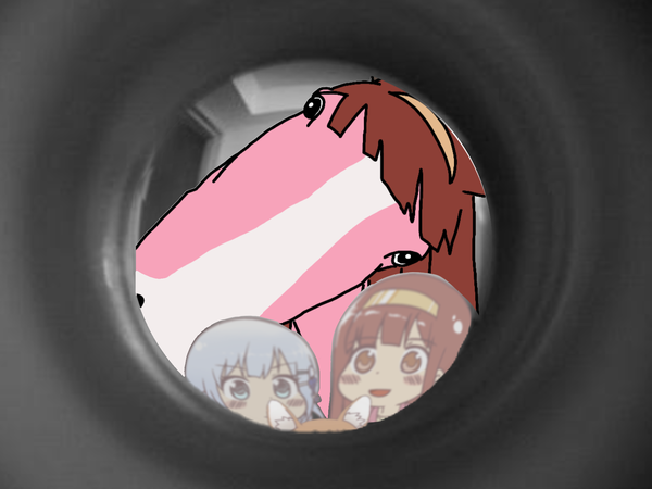 ZPpdXdA