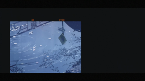 capture7406