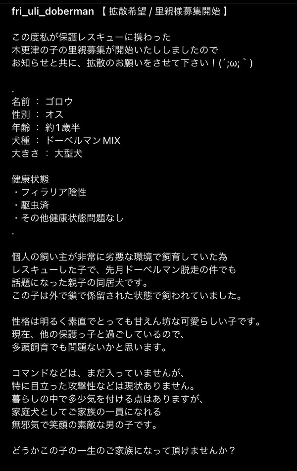 hN3xtBN