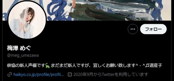 ダウンロード
