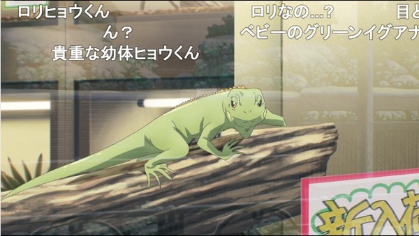 ダウンロード (29)