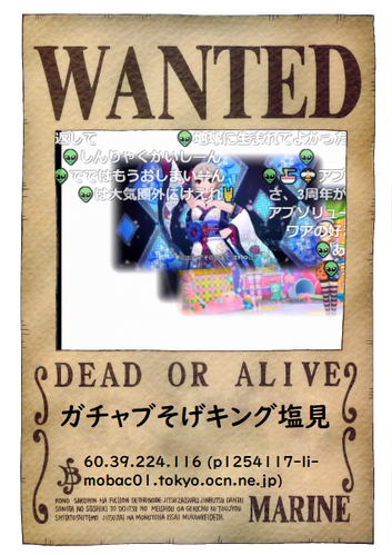 onepiece-wanted (3)