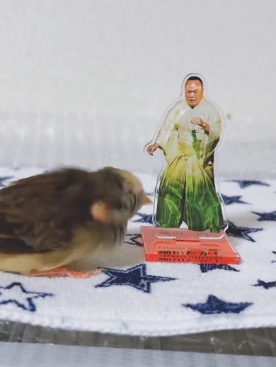 A0S5D7KEMQBOBN4CVQ9OETN4