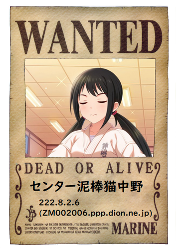 onepiece-wanted (1)