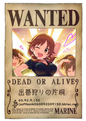 onepiece-wanted