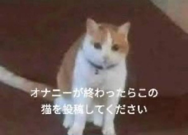 【悲報】ゲーセンで子連れ脅した星井美希P「こんばんはー本人だけど言いたいことあったら現場で会いましょうや😂」「？だから現場来いよ」豚小屋オフ会開催へ