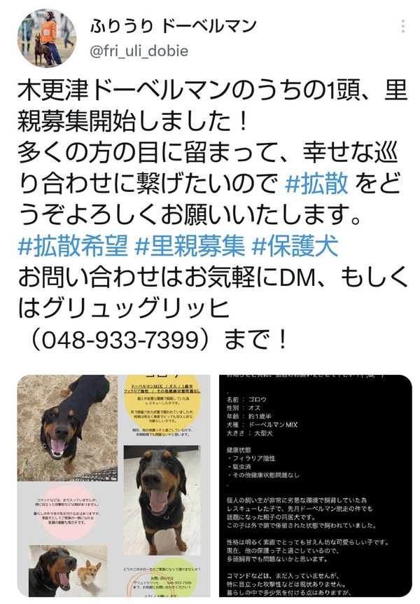 1652998569199