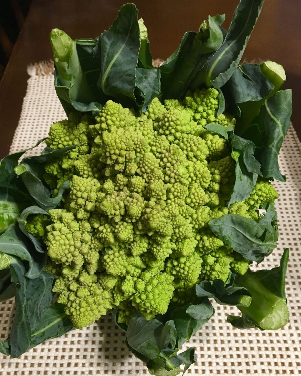 うちにオシャレ野菜 ロマネスコ がやってきた Noleの もぐもぐ日記 うちにオシャレ野菜 ロマネスコ がやってきた Noleの もぐもぐ日記