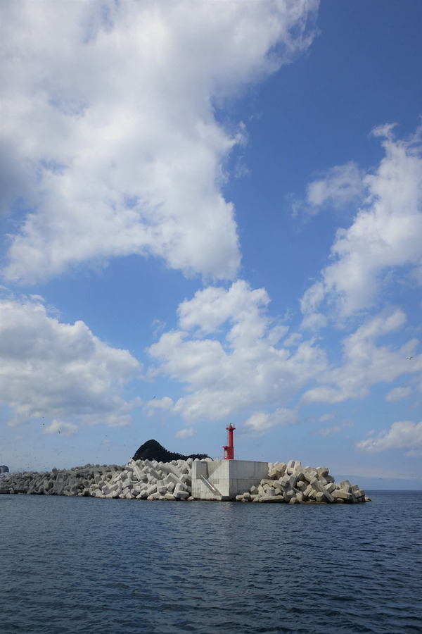 海とかもめ (3)