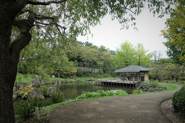 駿府城公園201910 (18)