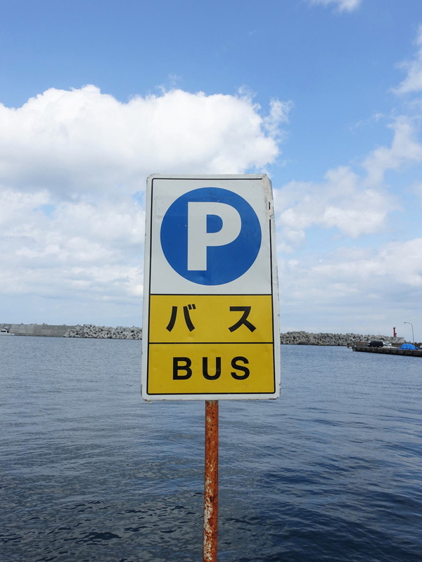 海とかもめ (1)