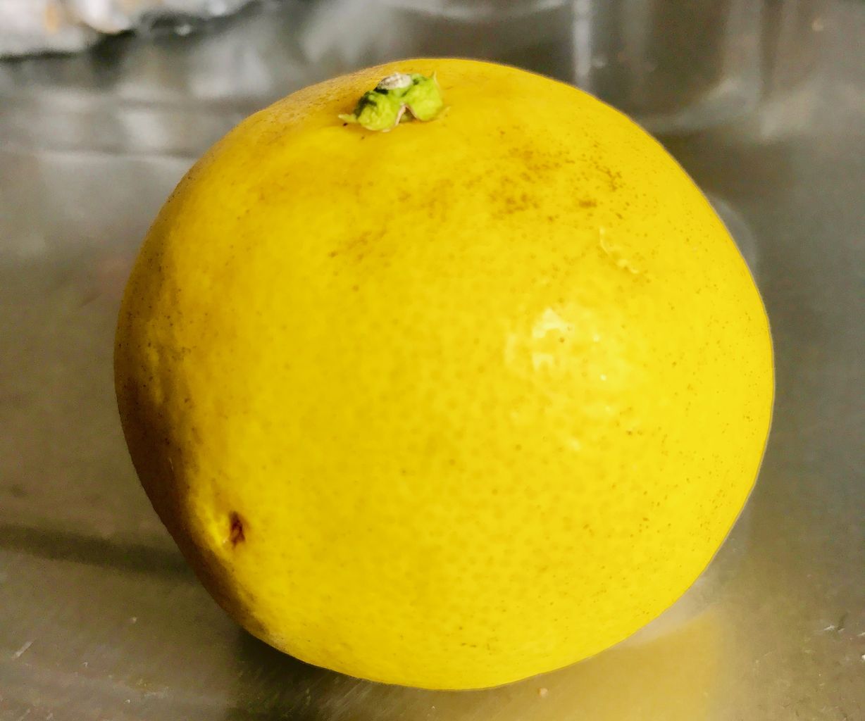 我が家にサマーみかんがやってきた 種まきさんの種まきブログ 沖縄から 我が家にサマーみかんがやってきた 種まきさんの種まきブログ 沖縄から