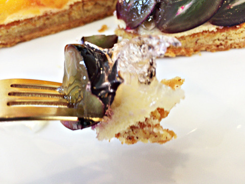 resize7239