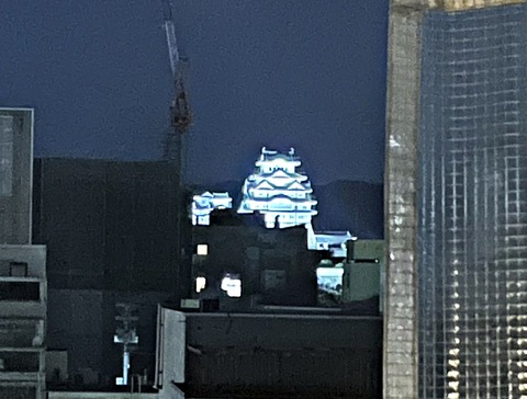 IMG_1328-crop