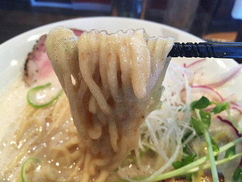 イメージ 7