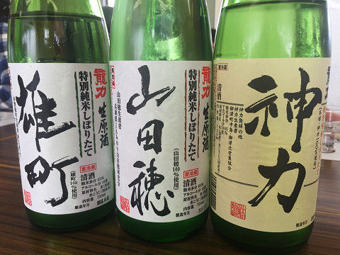 イメージ 7