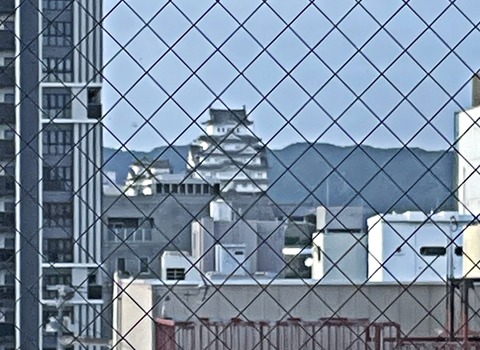 IMG_6804-crop