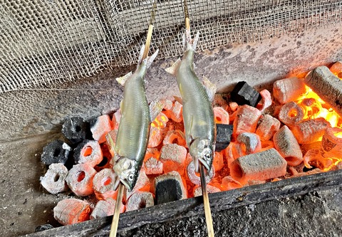 IMG_0765-crop