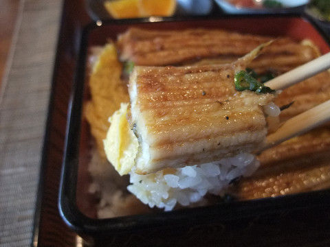 イメージ 5