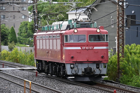 久々の本線走行!「往年の機関車展示撮影会」送り込み EF81-97