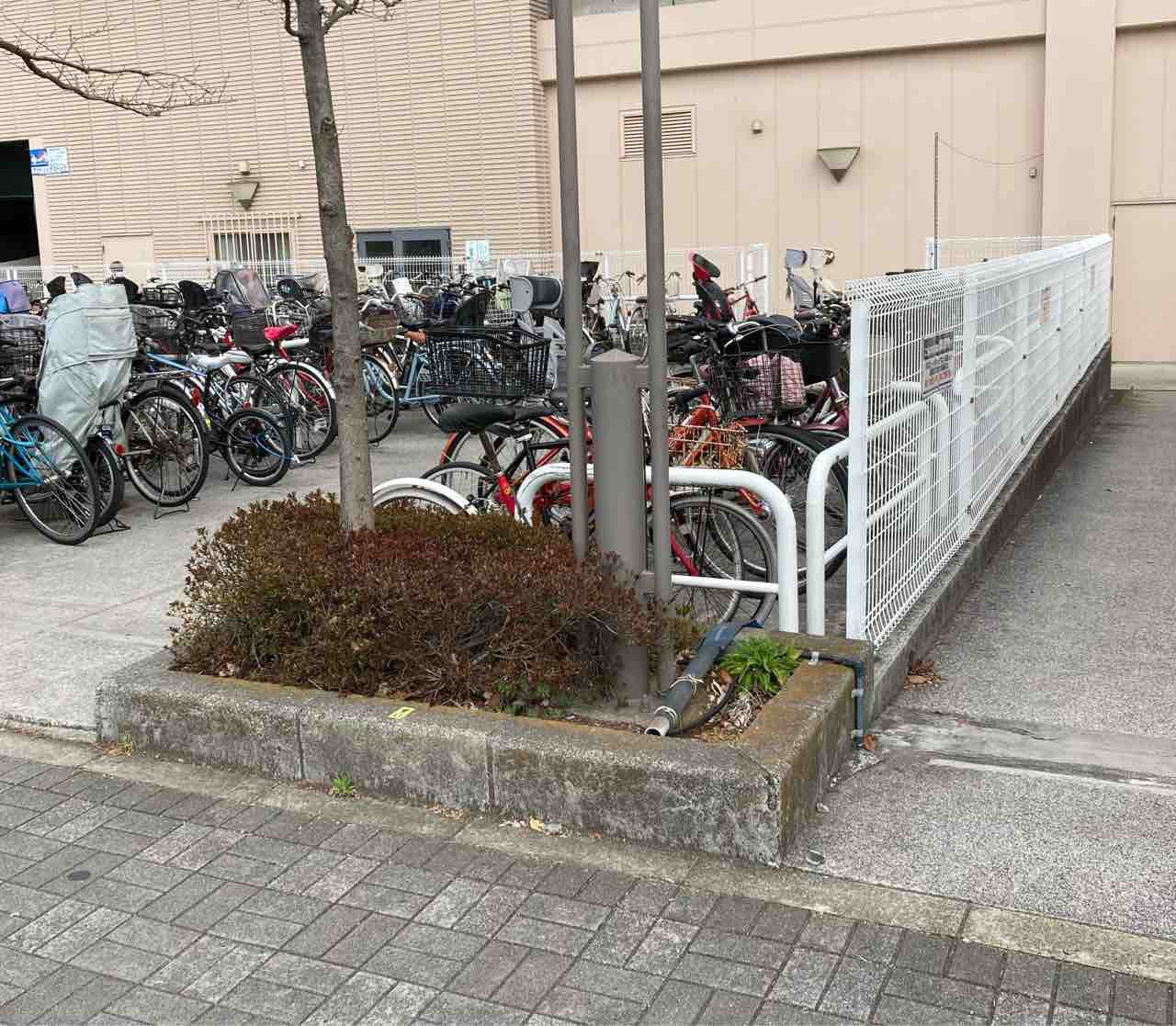 イトーヨーカドー 木場 自転車