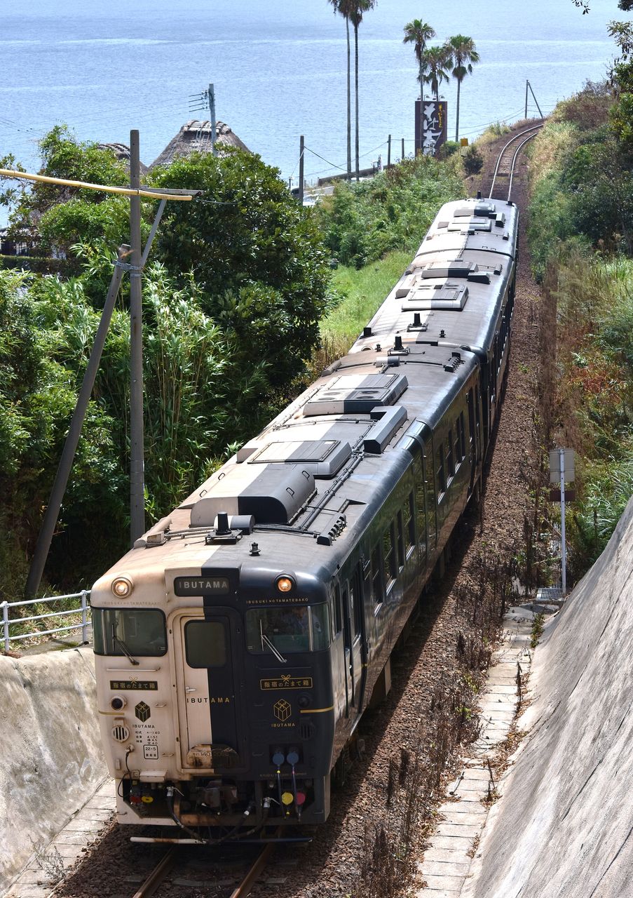 指宿枕崎線 のんちゃんの撮り鉄日誌