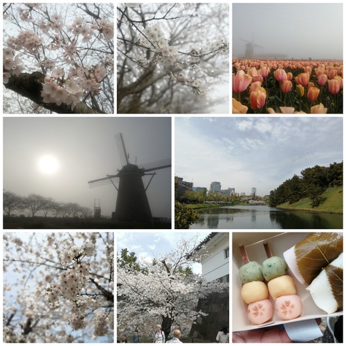 Collage_20240409_195445