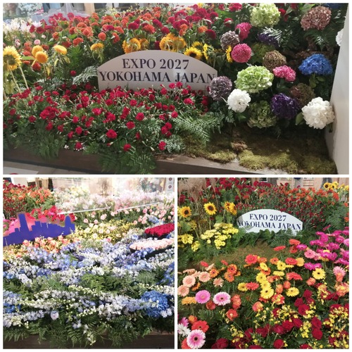 Collage_20220912_071111