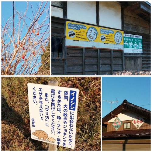 Collage_20230206_094528