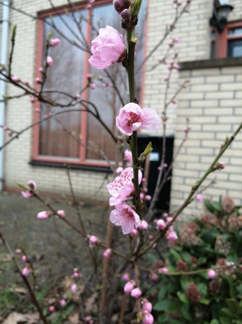 IMG_20230319_135908