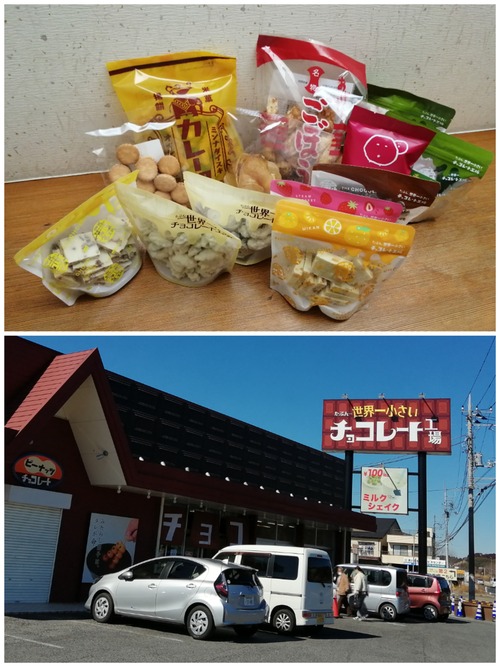 Collage_20230216_154222