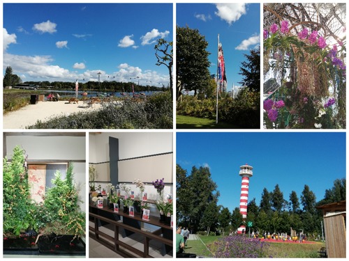 Collage_20220829_054628