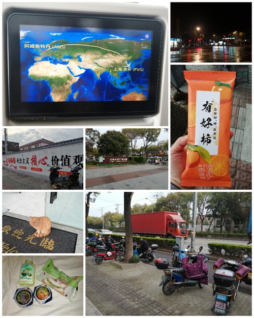 Collage_20240403_193408