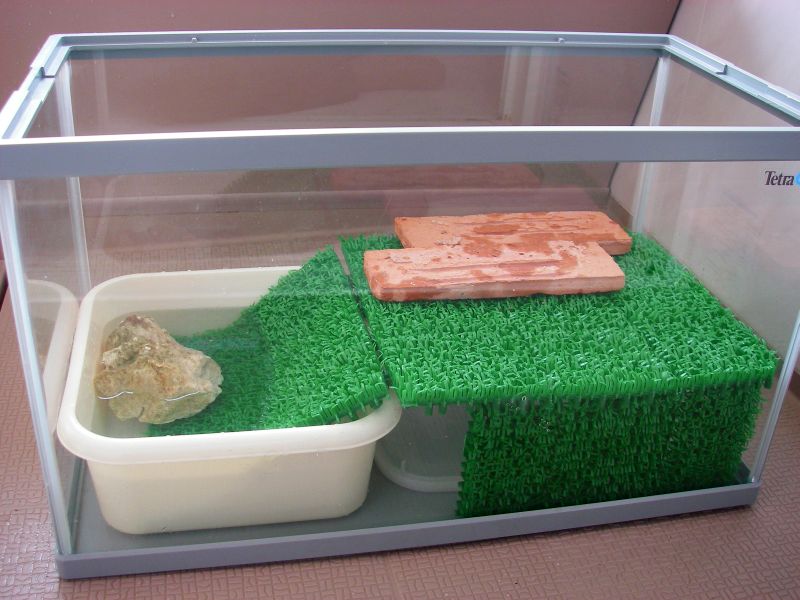 カメさんのお家を作ろう Nonのなんでも情報館blog